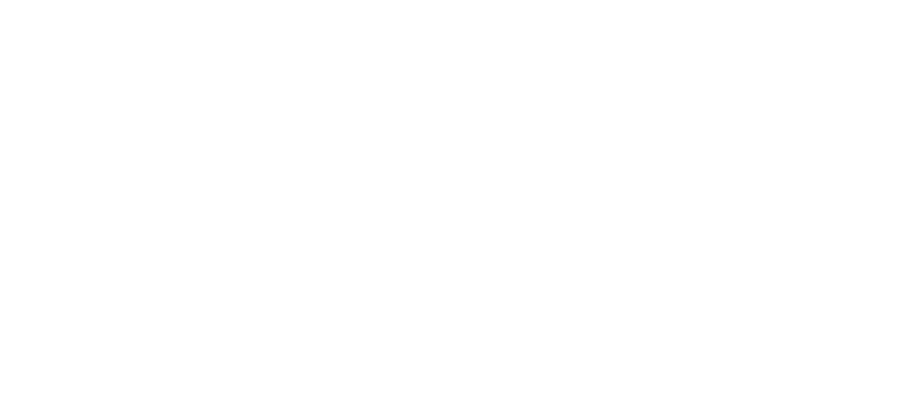 Travel Talent Academy